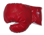 carlos palomino signed boxing glove