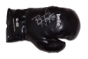 Bernard Hopkins Autographed Boxing Glove