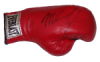 mike tyson signed boxing glove